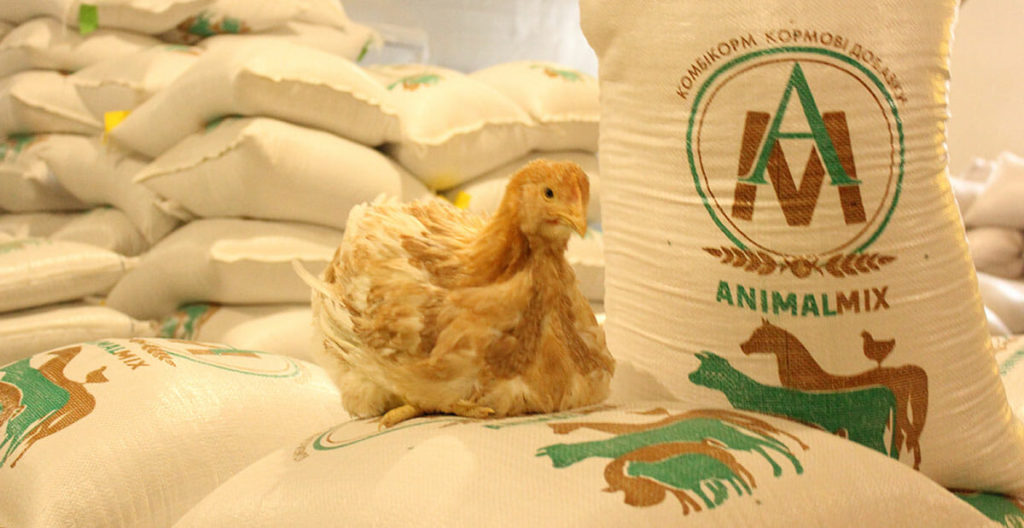 Комбікорм для курей несучок Animalmix
